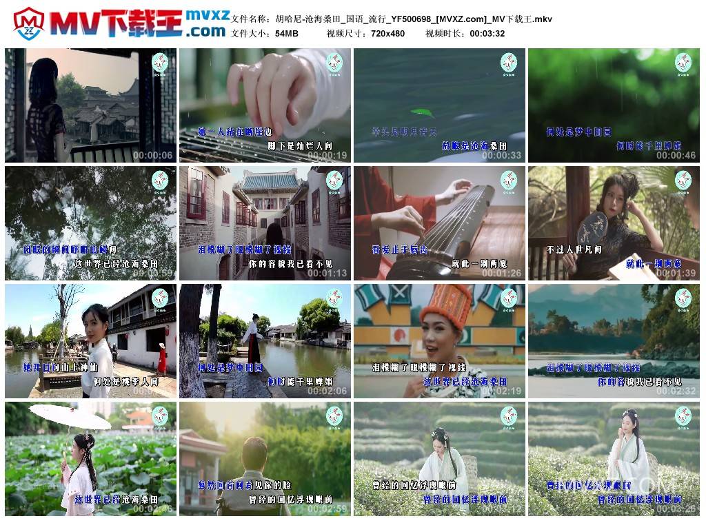 胡哈尼-沧海桑田_国语_流行_YF500698